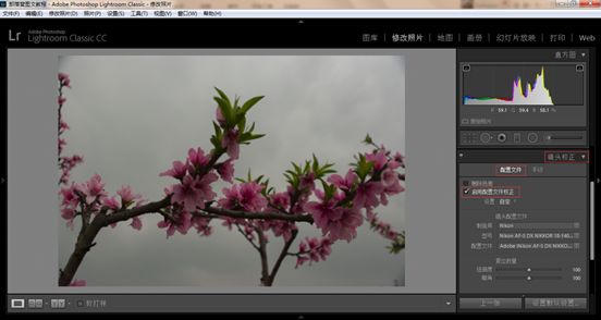 Photoshop结合LR调出更有意境的桃花