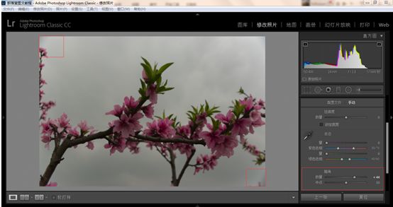 Photoshop结合LR调出更有意境的桃花