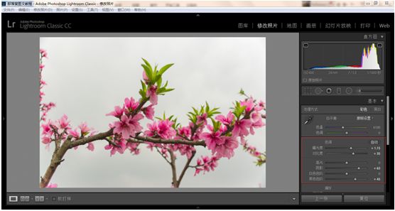 Photoshop结合LR调出更有意境的桃花