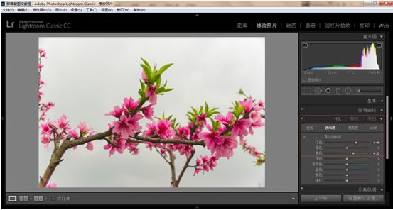 Photoshop结合LR调出更有意境的桃花