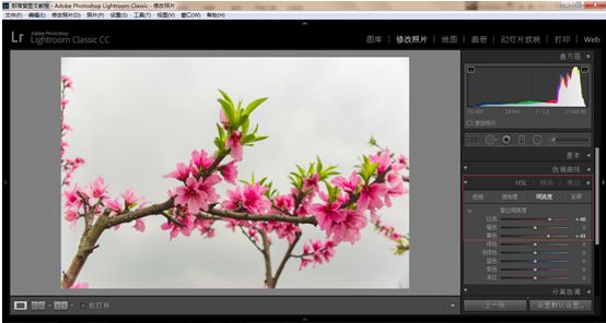 Photoshop结合LR调出更有意境的桃花