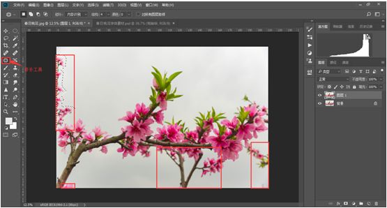 Photoshop结合LR调出更有意境的桃花