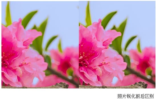 Photoshop结合LR调出更有意境的桃花
