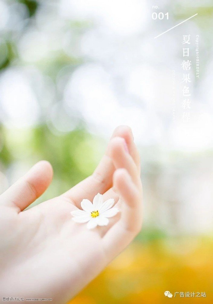 通透效果：用LR调出外景甜美清新效果