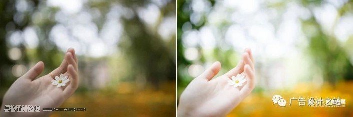 通透效果：用LR调出外景甜美清新效果