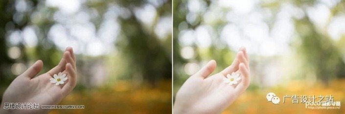 通透效果：用LR调出外景甜美清新效果