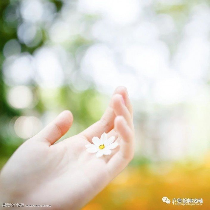 通透效果:用LR调出外景甜美清新效果