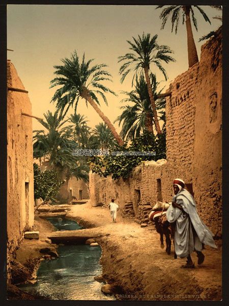 黑白相片变成逼真的彩色照片