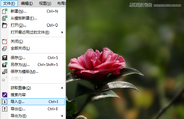 CorelDRAW快速制作雨天雪天和雾天效果