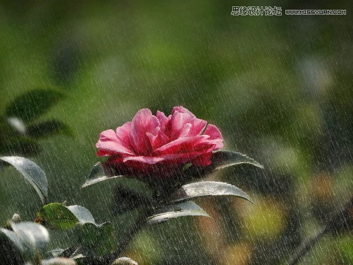 CorelDRAW快速制作雨天雪天和雾天效果