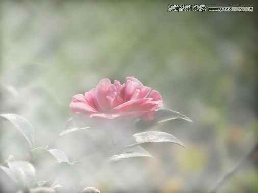 CorelDRAW快速制作雨天雪天和雾天效果