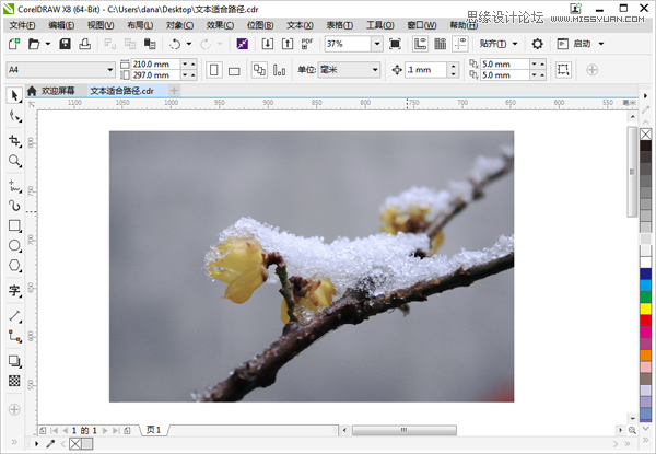 CorelDRAW如何制作路径文字