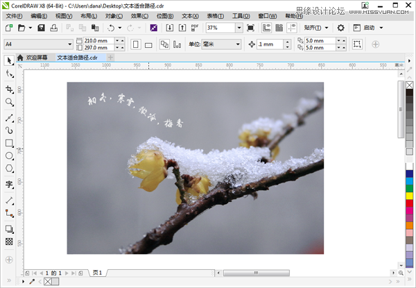 CorelDRAW如何制作路径文字