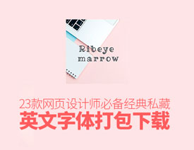 23款网页设计师必备的英文字体下载