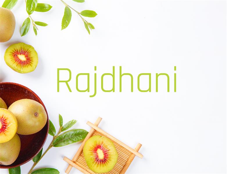 23款WEB设计师必备的英文字体下载