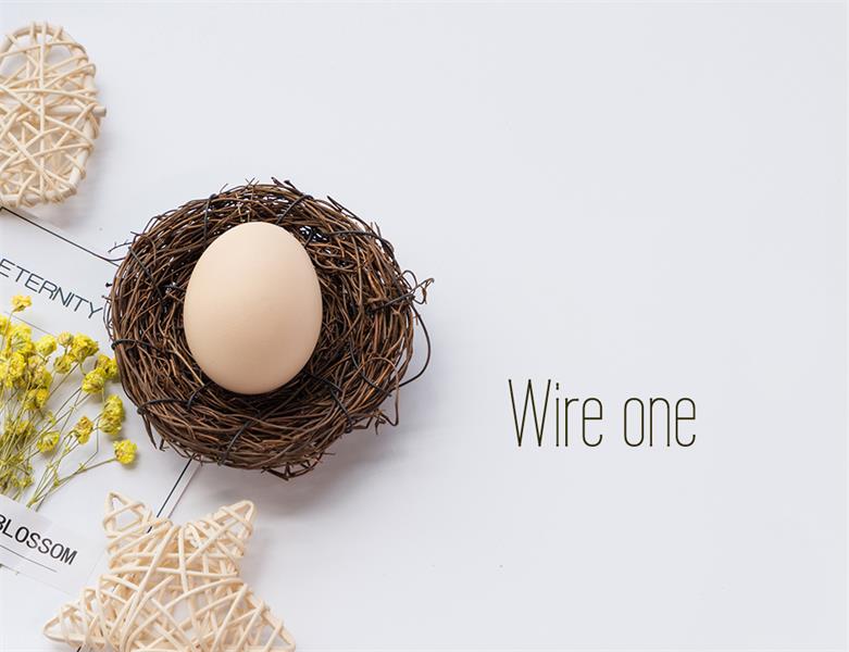 23款WEB设计师必备的英文字体下载