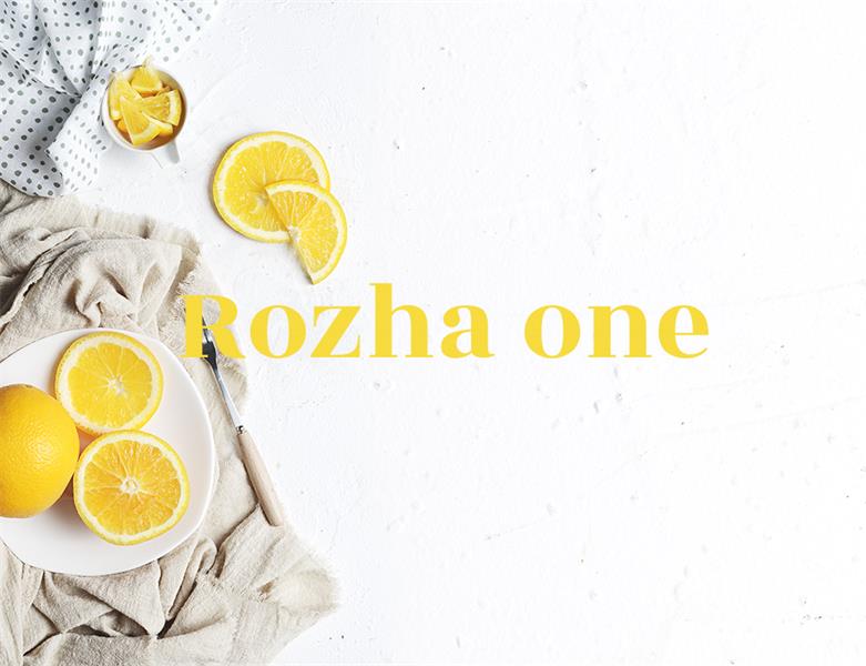 23款WEB设计师必备的英文字体下载