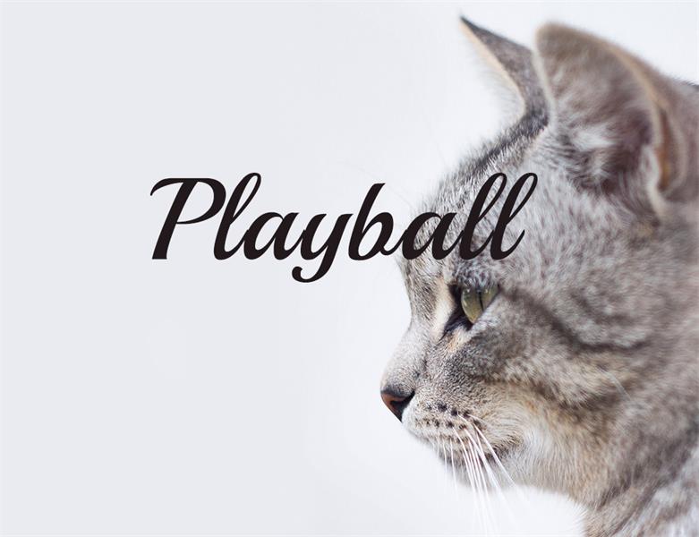 23款WEB设计师必备的英文字体下载