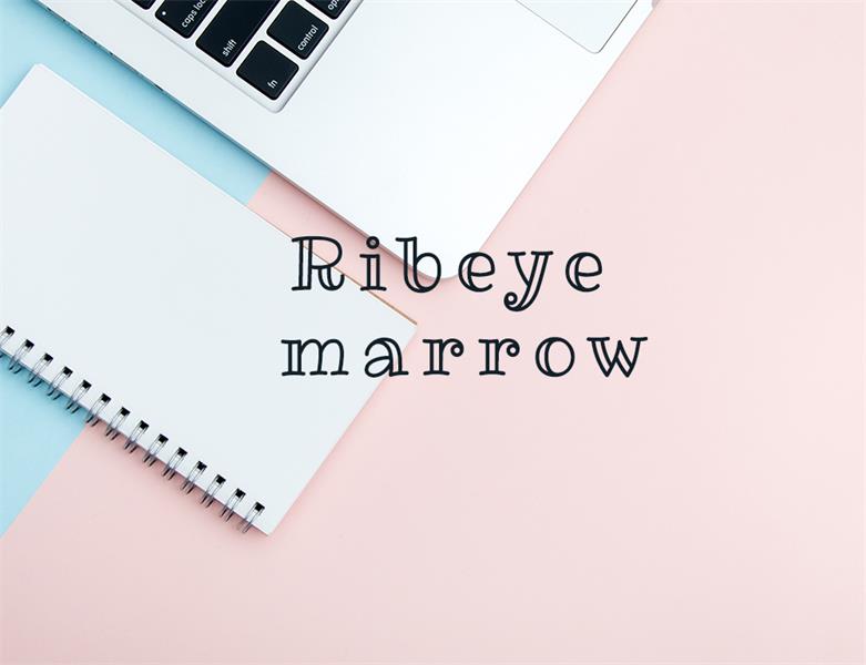 23款WEB设计师必备的英文字体下载