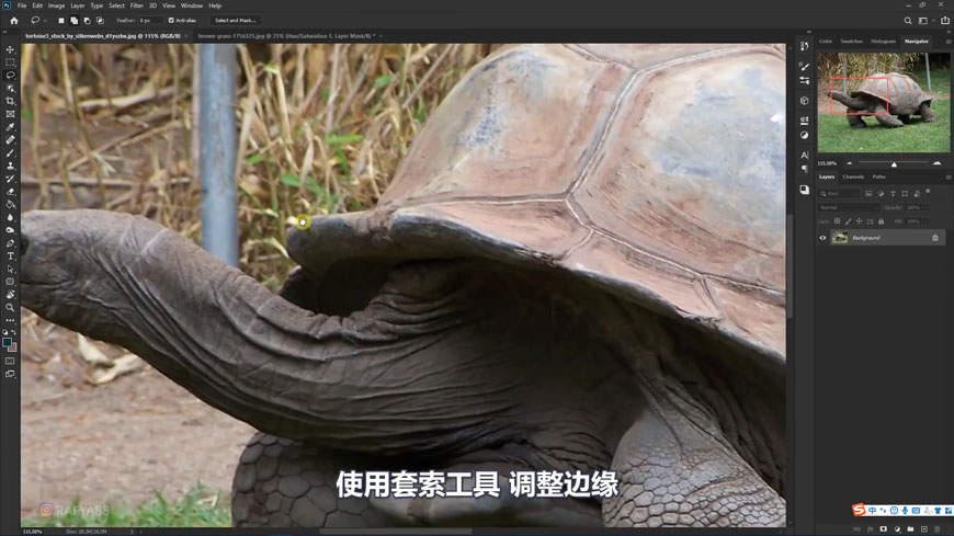 Photoshop合成创意的乌龟背着城堡效果图
