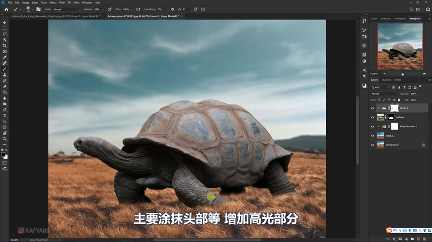 Photoshop合成创意的乌龟背着城堡效果图