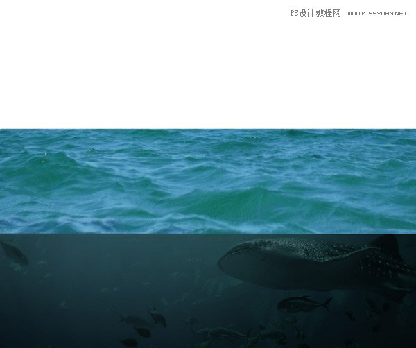 创意合成：用PS合成水中漂流的可爱猫咪