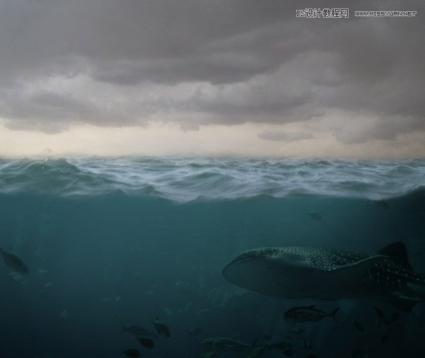 创意合成：用PS合成水中漂流的可爱猫咪