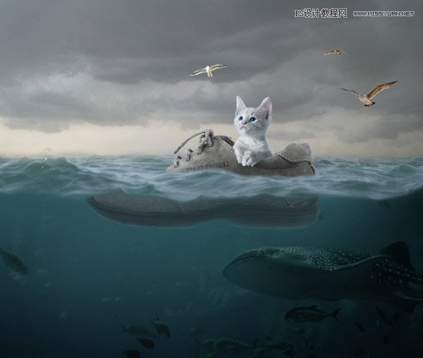 创意合成：用PS合成水中漂流的可爱猫咪