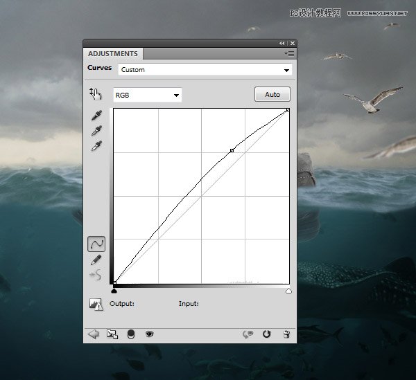 创意合成：用PS合成水中漂流的可爱猫咪