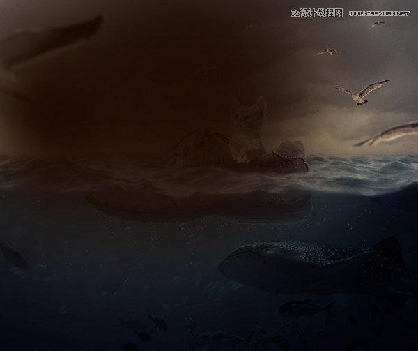 创意合成：用PS合成水中漂流的可爱猫咪