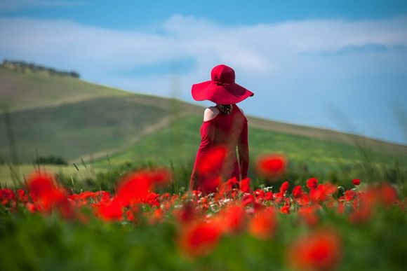 摄影初学者如何拍出好看的风景