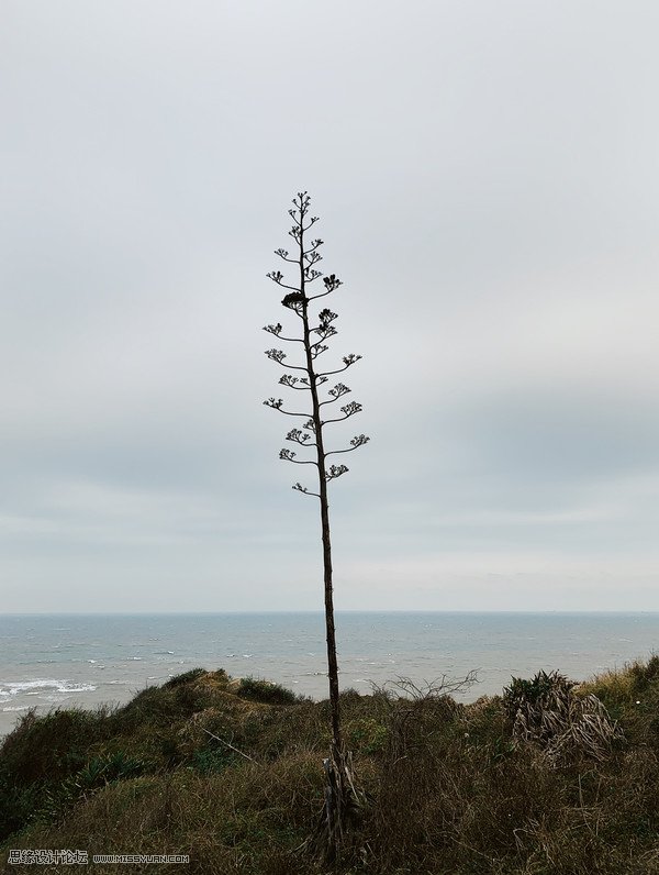 如何用手机拍出简单干净的构图