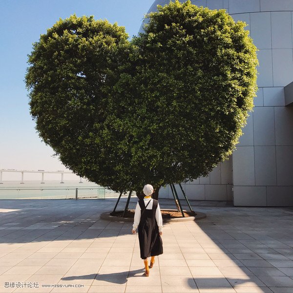 如何用手机拍出简单干净的构图