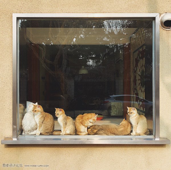 如何用手机拍出简单干净的构图