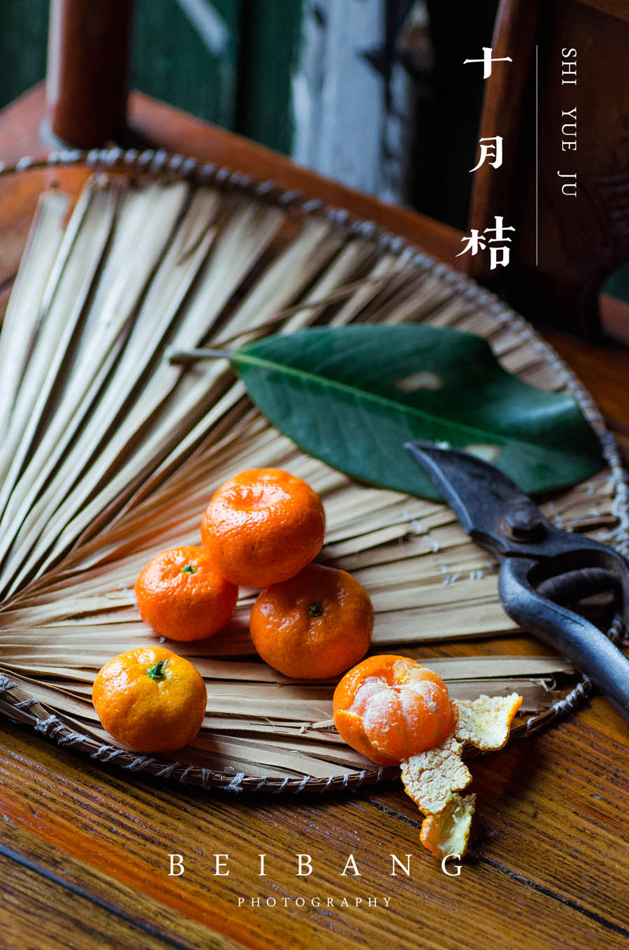 摄影师解读怀旧静物摄影怎么拍