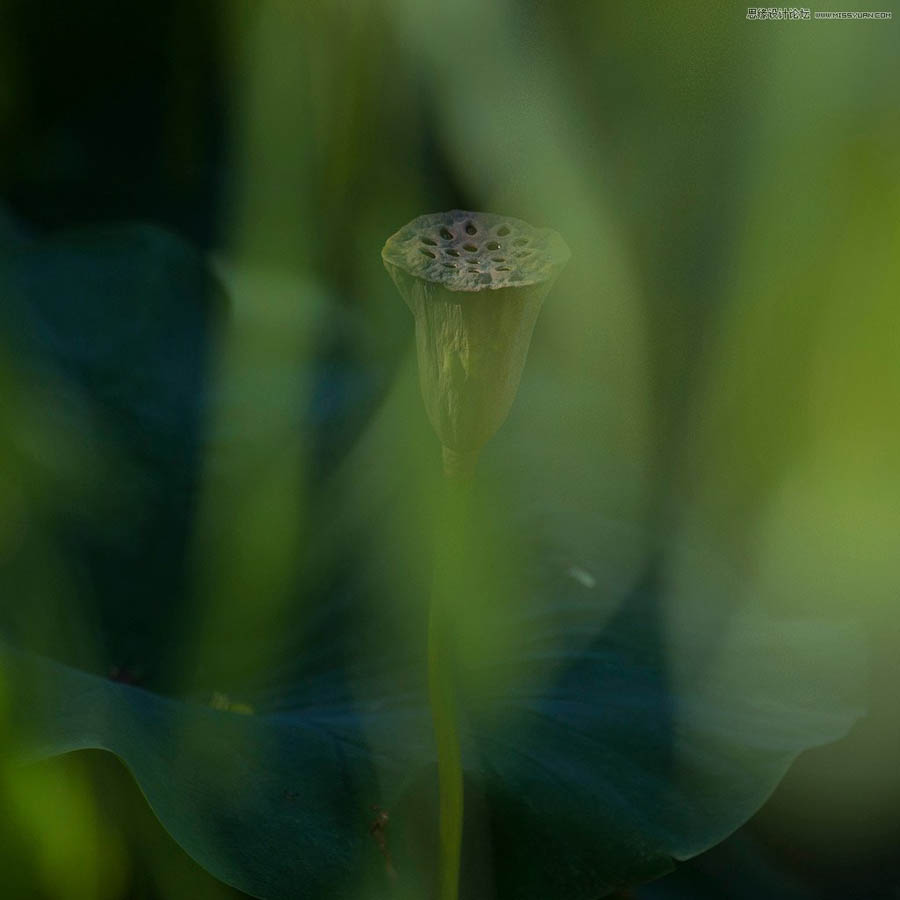 如何提升风光摄影大片的情感表现力
