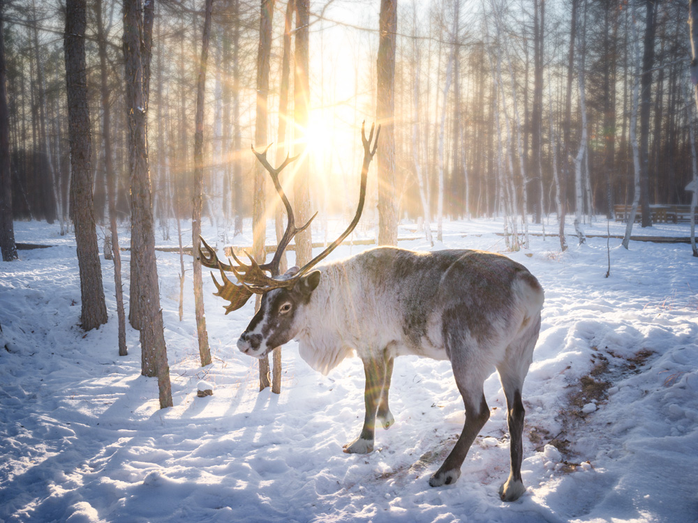 详解如何在晴天里拍出大片效果