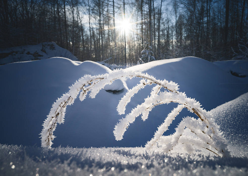 详解如何在晴天里拍出大片效果