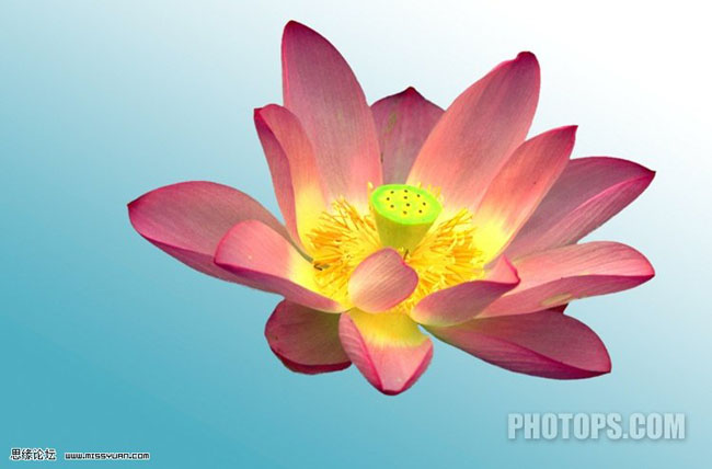 在Photoshop的Lab模式下快速用通道抠图教程